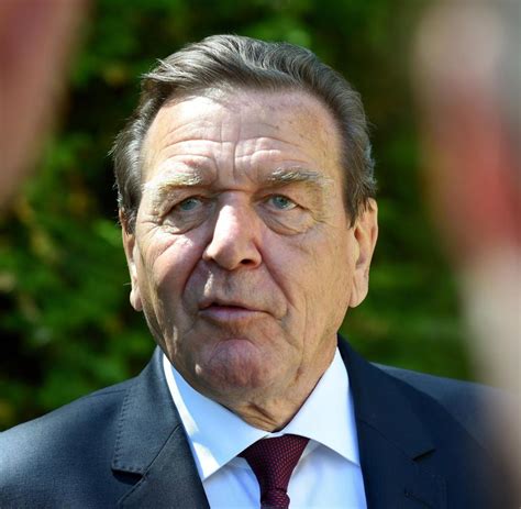 gerhard schröder news aktuell